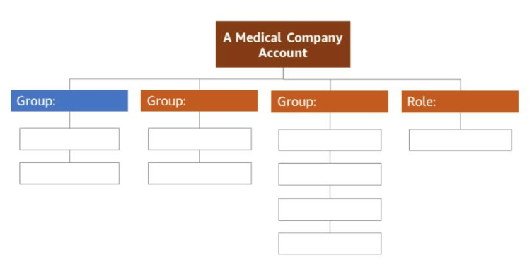 IAM groups structure — blank template with 3 groups and 1 role under A Medical Company Account