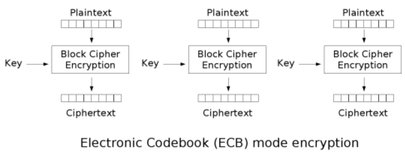 ECB mode encryption showing three plaintext blocks each encrypted independently with the same key